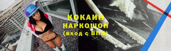mdpv Новозыбков